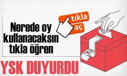 Türkiye Hazırlıklarını Tamamlıyor: 31 Mart Seçimlerinde Sandık Bilgileri Erişime Açıldı