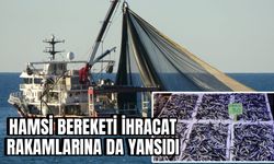 Hamsi Bereketi: Türkiye'nin Denizden Gelen Geliri Arttı