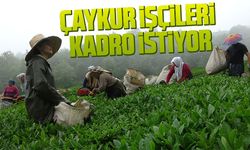 CHP Trabzon Milletvekili Sibel Suiçmez,Mevsimlik ve Çaykur işçileri kadro istiyor, Emekliler seyyanen zam istiyor'dedi
