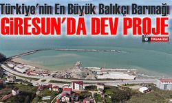 Türkiye'nin En Büyük Balıkçı Barınağının İnşaatı Sürüyor: Giresun'da Dev Proje