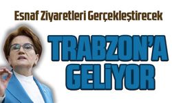 İYİ Parti Lideri Meral Akşener, Pazartesi Günü Trabzon'a Geliyor, İlçelerde Esnaf Ziyaretleri Gerçekleştirecek
