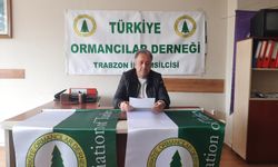 Türkiye Ormancılar Derneği, Ormancılık Politikalarının Değerlendirmesi ve Ormanların Korunması Çağrısı Yaptı