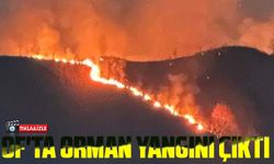 Trabzon'un Of ilçesinde bulunan Yukarı Kışlacık Mahallesi'nde, saat 16.00 civarında ormanlık alanda yangın çıktı
