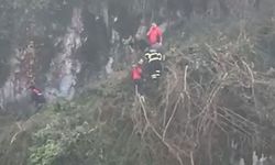 Giresun'da Ağaç Keserken Uçuruma Yuvarlanan Kişi Kurtarıldı