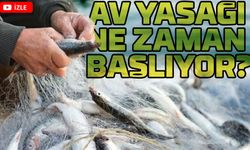 Denizlerde Av Yasak, Tezgahlarda Kültür Balıkları