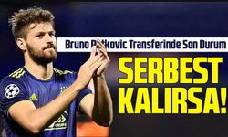 Trabzonspor'un Forvet Atağı: Bruno Petkovic Transferinde Son Durum