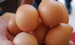 Yumurta Fiyatlarında Sürpriz Düşüş: Zam Yok, Fiyatlar Geriliyor!