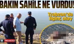 Trabzon Sahilinde Şaşırtıcı Bir Olay: Sahile Vuran İnek