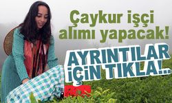ÇAYKUR Rize, Artvin, Trabzon ve Giresun'da 1072 İşçi Arıyor