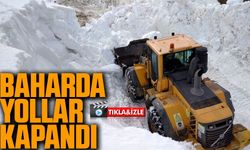 Bayburt-Trabzon Arası İl Özel İdaresi ekipleri, karla kaplı yollarda ulaşımı sağlamak için yoğun bir çaba sarf ediyor.