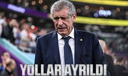 Beşiktaş, Teknik Direktör Fernando Santos ile Yollarını Ayırdı