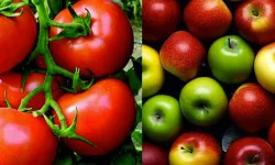 Domates ve Elmayı Kabuğuyla Tüketin: Sağlığınız İçin Önemli Faydaları Var!