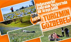 Doğaseverler Kadıralak Yaylası'nda Bir Araya Geldi. Trabzon Turizmi için Önemli Bir Etkinlik