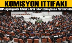 CHP çoğunluğu elde tutmakla birlikte her komisyona Ak Partilileri aldı