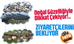 Trabzon ve Giresun Sınırındaki Yayla, Doğal Güzelliğiyle Dikkat Çekiyor