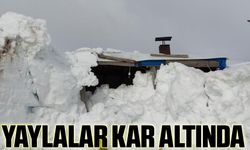 Kar Altında Gömülen Bülbülan Yaylası'ndaki Evler Kartpostallık Görüntüler Oluşturdu