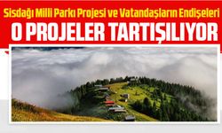 Sisdağı Milli Parkı Projesi ve Vatandaşların Endişeleri ve tartışmalı projeler