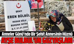 Anneler Günü'nde Bir Şehit Annesinin Hüznü: Ayşe Bülbül'ün Gözyaşları