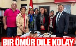 30 Yıllık Hizmetin Ardından CHP'den Ayrılan Aysen Çakıroğlu, Veda Töreniyle Uğurlandı