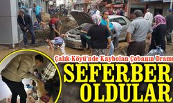 Gümüşhane Çalık Köyü'nde Kaybolan Çobanın Dramı; 7 Saatlik Aramanın Ardından son buldu