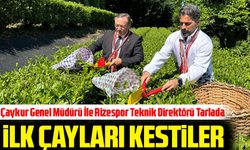 ÇAYKUR Genel Müdürü Yusuf  Ziya Alim ve Rizespor Teknik Direktörü İlhan Palut, İlk Çay Hasadını Gerçekleştirdi