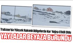 Trabzon'da Yüksek Rakımlı Bölgelerde Kar Yağışı Etkili Oldu