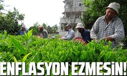 DEVA Partili Hasan Karal'dan Yaş Çay Fiyatı Açıklaması: "205 Bin Çay Üreticisinin Alın Teri Enflasyona Ezdirilmemeli"