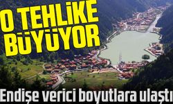 Trabzon'da Kayıt Dışı Konaklama Tesisleri Endişe Verici Boyutlara Ulaştı