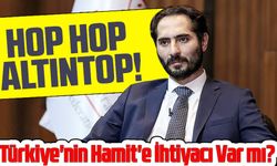 Türkiye'nin Hamit'e İhtiyacı Var mı?