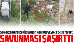 Trabzon'da Yavru Kediye Şiddet Uygulayan Şahıs Tutuklandı. Sokakta Vahşice Öldürülen Kedi Olayı Şok Etkisi Yarattı