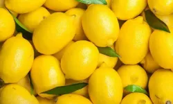 Sakın bunlara limon sıkmayın: Resmen zehre dönüşüyor