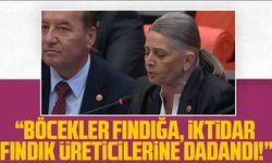CHP Trabzon Milletvekili Sibel Suiçmez, Meclis'te Fındık Üreticilerinin Sorunlarına Dikkat Çekti