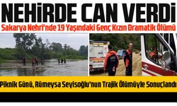 Sakarya Hendek'te Trabzonlu Seyisoğlu Ailesinin Piknik Günü, Rümeysa Seyisoğlu'nun Trajik Ölümüyle Sonuçlandı