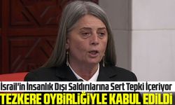 Türkiye Büyük Millet Meclisi İsrail'in Refah Saldırısını Kınayan Tezkereyi Oybirliğiyle Kabul Etti