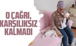 Ortahisar Belediye Başkanı Ahmet Kaya’nın “patili dost sahiplenme” çağrısı amacına ulaşıyor