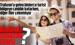 Trabzon ve Doğu Anadolu Bölgesi Turizm Potansiyelini Artırmak İçin Adımlar Atılacak