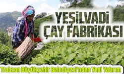 Trabzon Büyükşehir Belediyesi'nden Yeni Yatırım: Yeşilvadi çay fabrikası