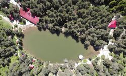 Limni Gölü Tabiat Parkı: Zigana'nın Huzur Veren Mekanı