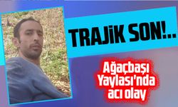 Giresun'da Ağaç Kesimi Sırasında Kaza: İşçi Hayatını Kaybetti