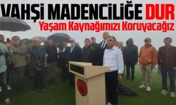 Giresunlular, Vahşi Madenciliğe Garigen Tepesi'nde "Dur" Dedi