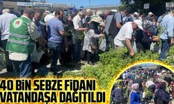 Rize'de Ata Tohumlarından Üretilen 40 Bin Sebze Fidanı Vatandaşlara Dağıtıldı