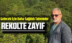 Fındık Rekoltesi Tahminleri Üzerine Uyarılar