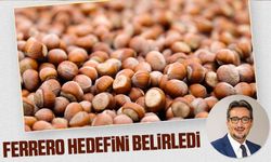 Ferrero Grubu'nun 15. Sürdürülebilirlik Raporu Yayımlandı: Çevreyi Koruma ve Sorumlu Tedarik Öncelikli Hedefler Arasında