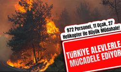 Türkiye Alevlerle Mücadele Ediyor: İzmir'de 5 İlçede Yangınlar Sürüyor!