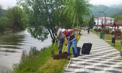 Ordu'nun Gülyalı ilçesinde Yeşil Bir Soluk: Turnasuyu Kordon Parkı'nın Yeniden Doğuşu