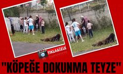 Ordu'nun Kumru ilçesinde başıboş sokak köpeği, ekmek almaya giden kadına saldırdı