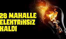 Trabzon'da Orta Gerilim Arızası Nedeniyle Elektrik Kesintisi