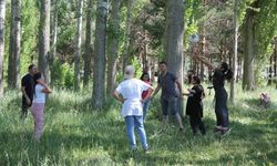 Bayburt'ta Kurban Bayramı Coşkusu: Vatandaşlar Piknik Alanlarına Akın Etti