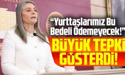 CHP'li Sibel Suiçmez'den Elektrik Zammına Sert Tepki: “Yurttaşlarımız Bu Bedeli Ödemeyecek!”