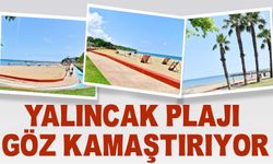 Trabzon Yalıncak Plajı’nda Büyük Temizlik Operasyonu!